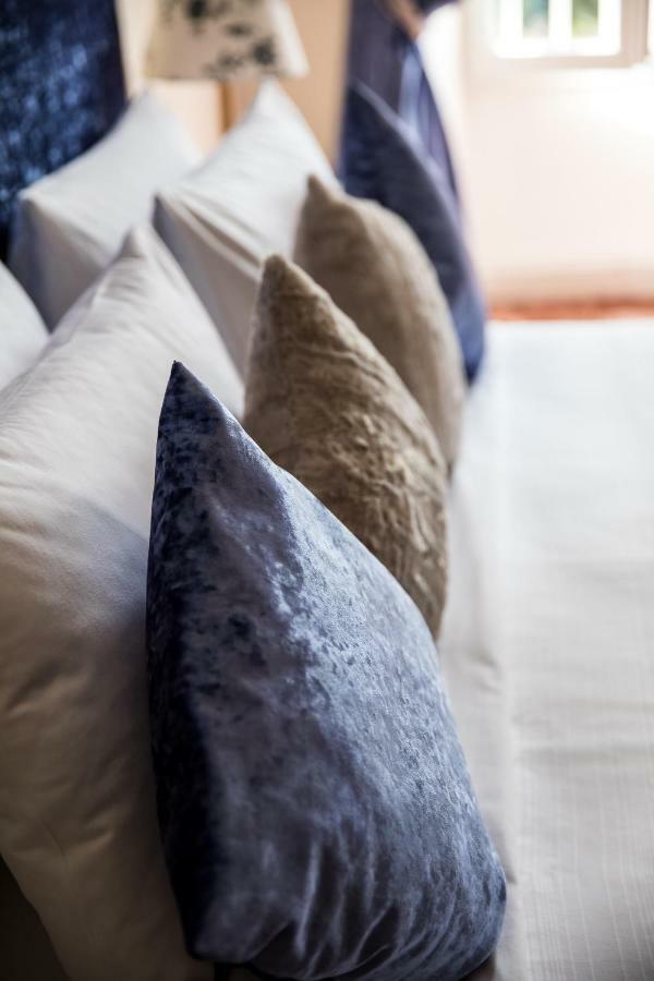 La Residence Chambre D'Hotes แซ็ง-ต็องโตแน็ง ภายนอก รูปภาพ